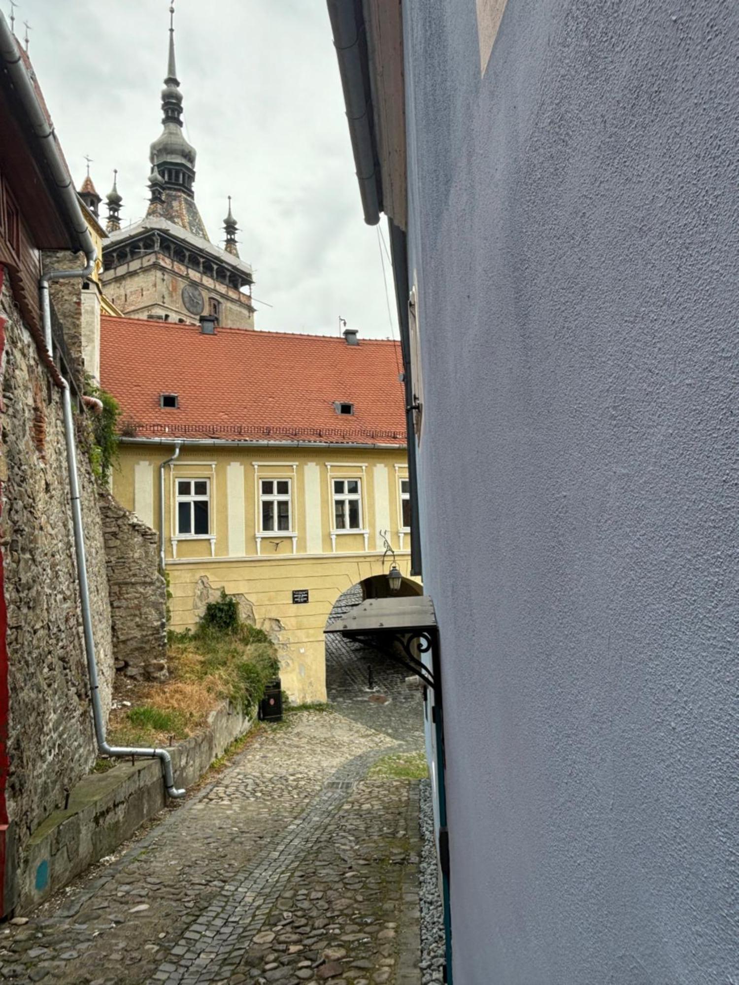 Blue House Citadel Elite Sighisoara 아파트 외부 사진